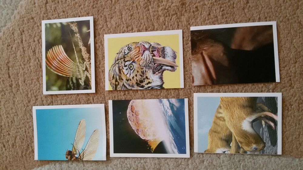 Праисторически времена от "Била"