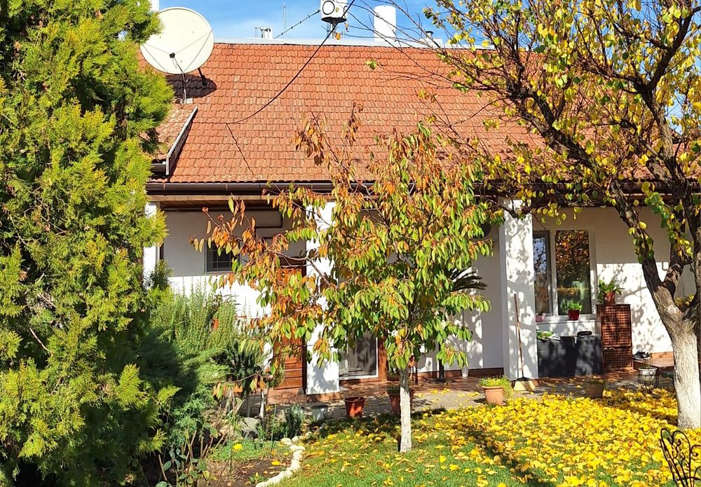 Apartament de închiriat