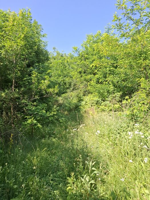 Teren intravilan cu toate utilitatile