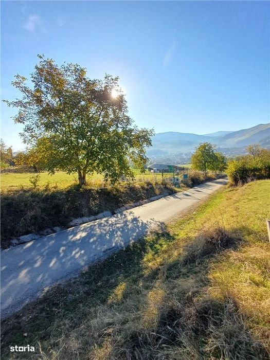 Teren de vanzare in Rasinari