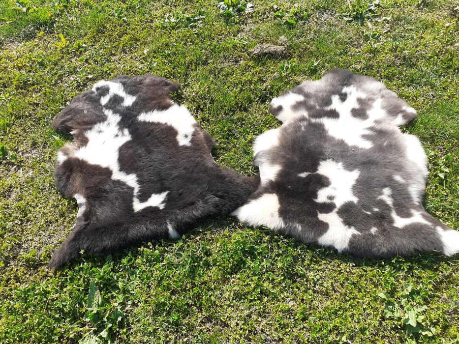 Естествени Агнешки кожи