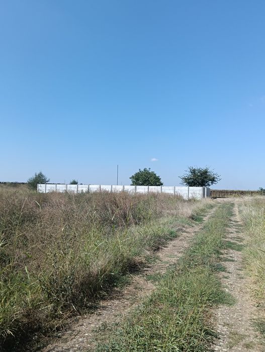 Lot teren intravilan Berceni Mamina str Rozmarin com Vidra