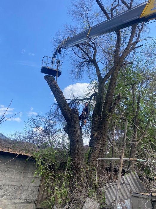 Услуги Манипулятора