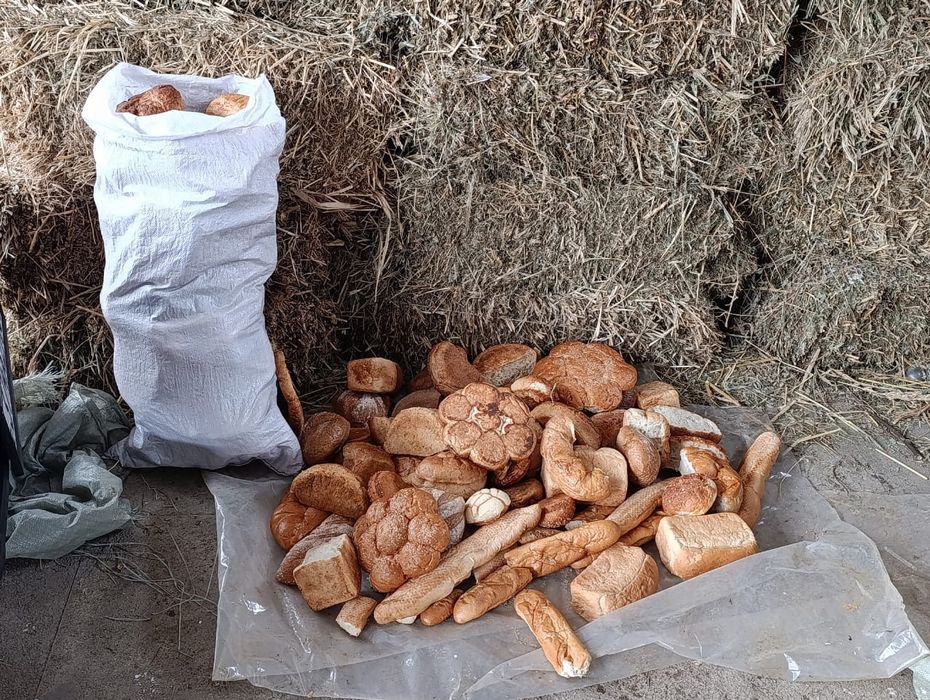 Хлеб разных сортов