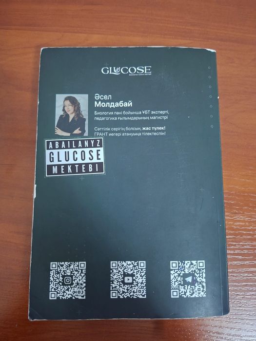 Кызылорда Енбек дача