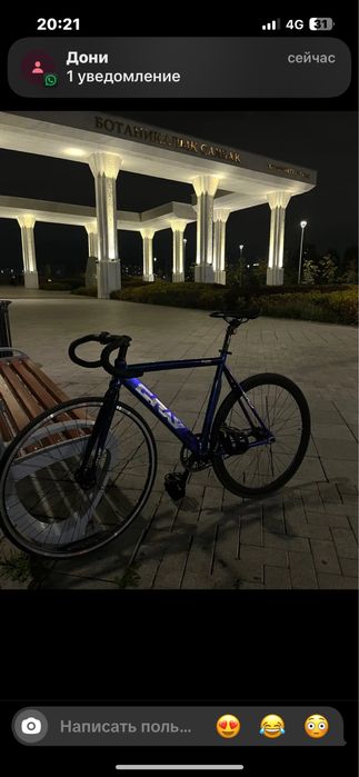 Gray фикс размер М