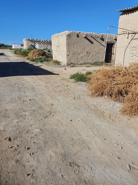 Dacha tezda sotiladi yo abmen moshin bilan