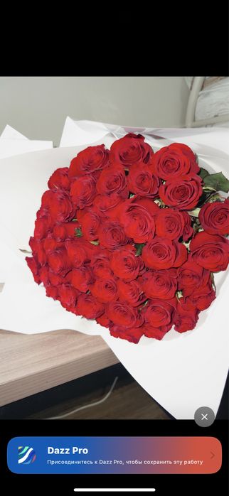 Роза метровая 51