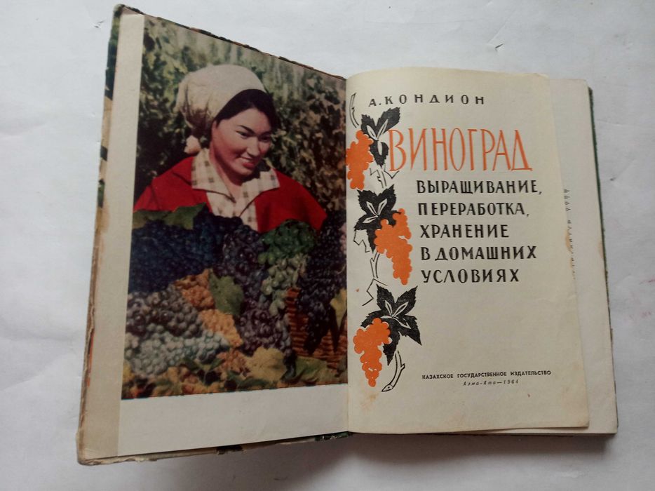 Виноград (выращивание в Казахстане)