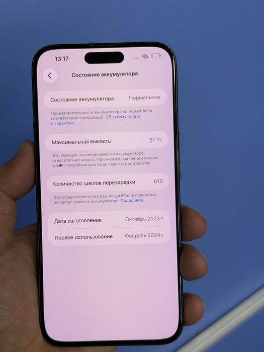 iphone 15 pro max 256gb