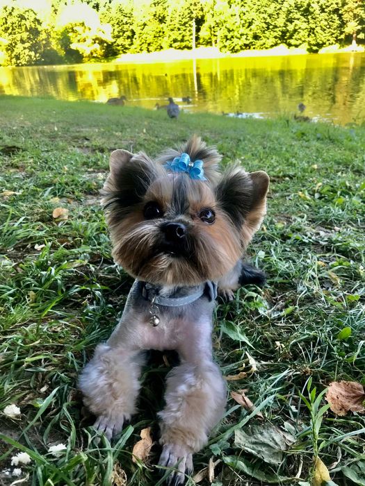 Приглашаем на вязку