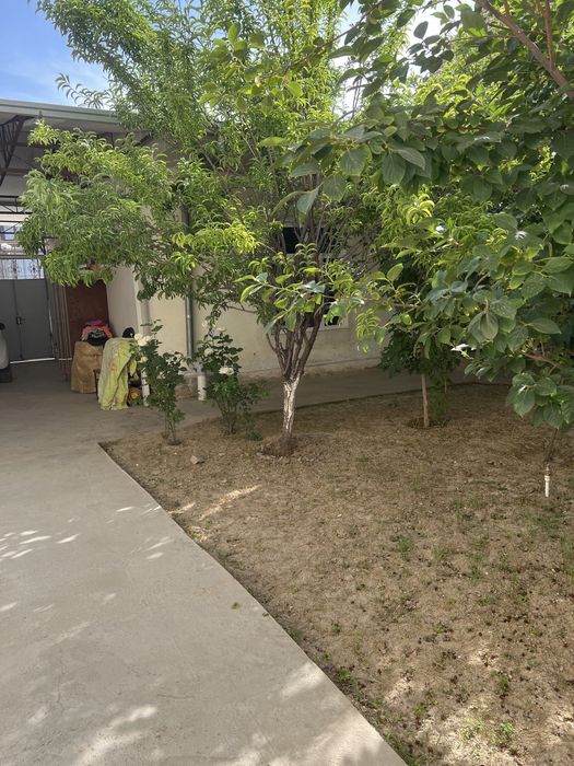 ховли сотилади келес киров