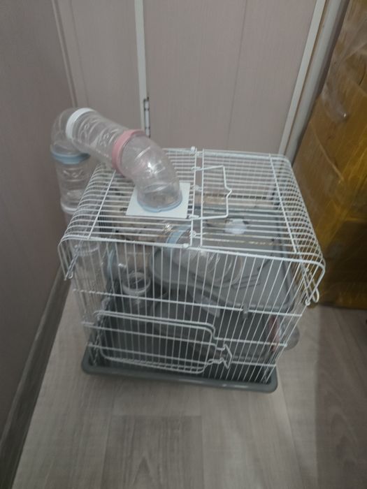 Продам клетку для хомяков
