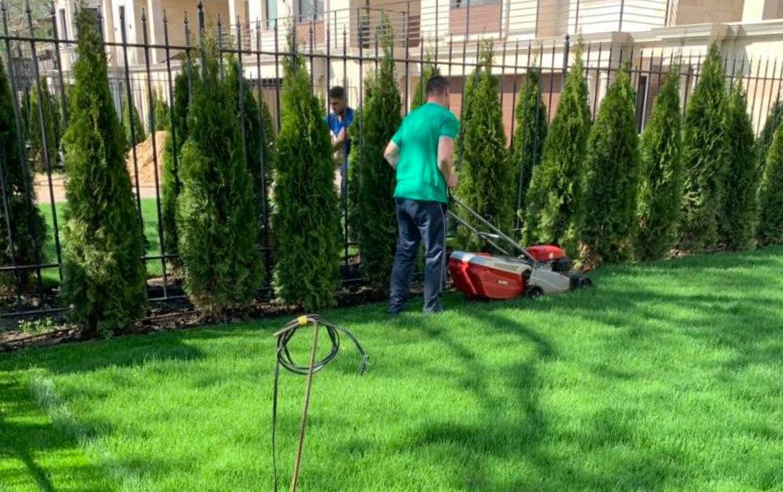 Косим траву, Газон