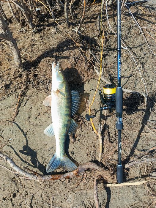 Спиннинг Crazy Fish Perfect Jig 88 MHT.