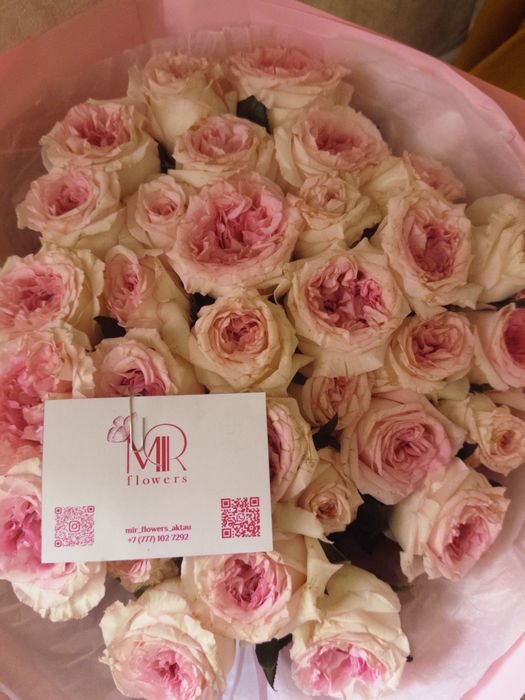 Гүл сатылады 31 шт