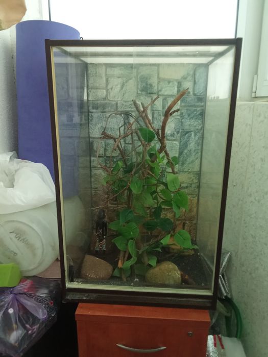 Продам терариум для рептилий