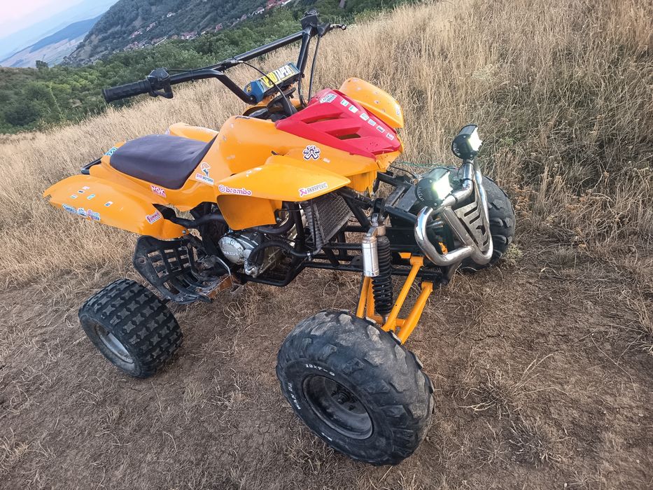 Bashan 250 cm  5+1