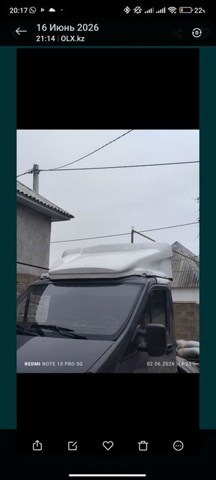 Оптикатель газель корона