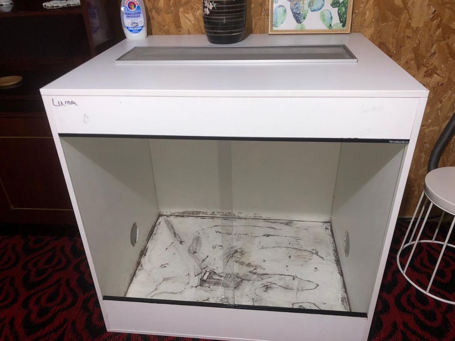 Terariu pentru Reptile