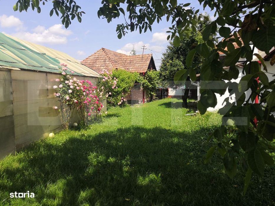 Teren intravilan generos + 2 case – 15.277 mp, front 30 m, multiple