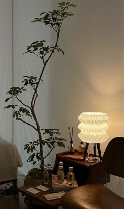 Светильник / Шырақ