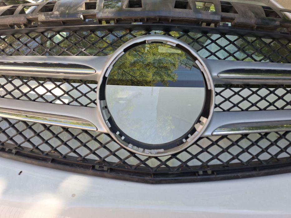 Ornament grila radiator Mercedes