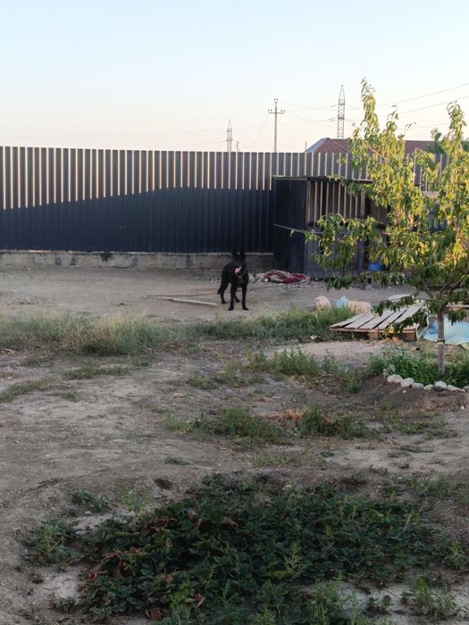 Продается вольер с ВЕО