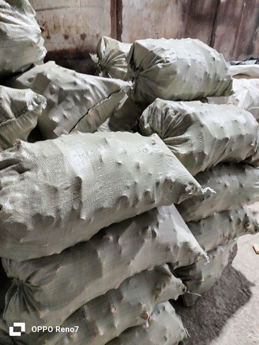 отын Баняға шашылыққа т. б