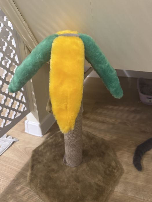 Продам британского котенка