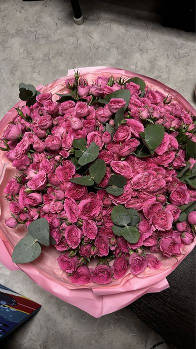 цветы розы нежные