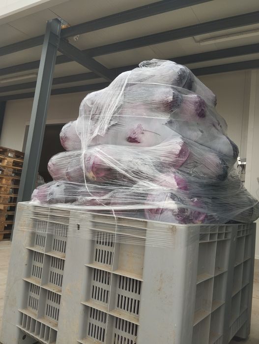 Продавам ЧЕРВЕНО ЗЕЛЕ на Едро.