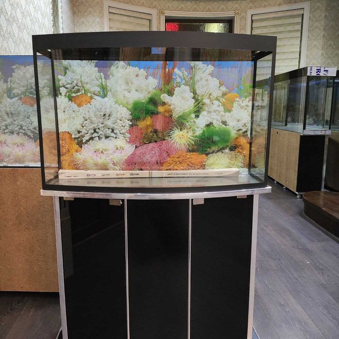 Zakazga akvariumlar. Toshkent dastavka bor. 1mln so'mdan 5 mln so'mgaw