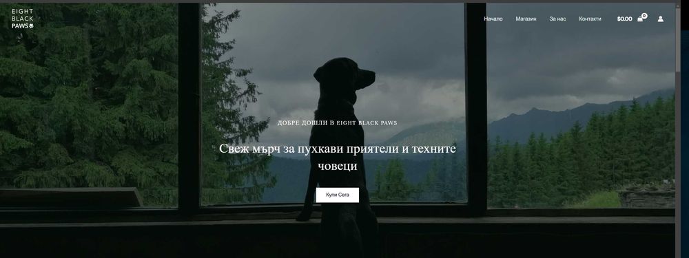 Създаване на уебсайт с WordPress & Elementor