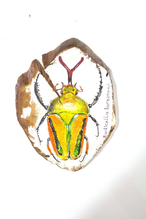 Картины на спине дерева , выполненные акрилом