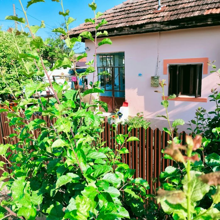 Casă de vânzare și teren  intravilan și extravilan