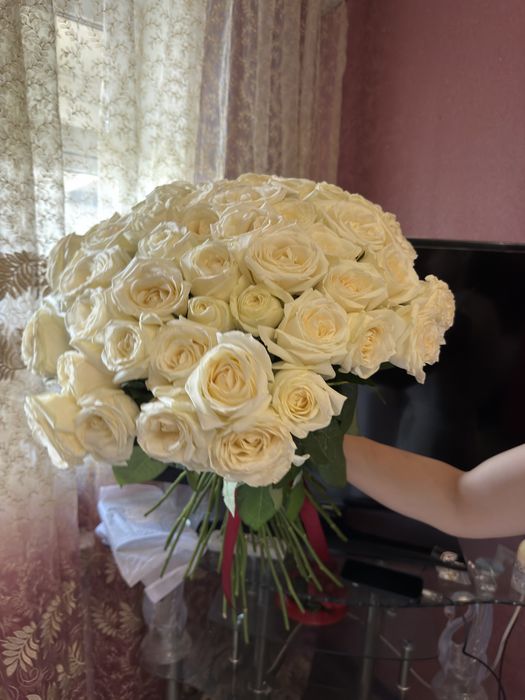 Голландские розы