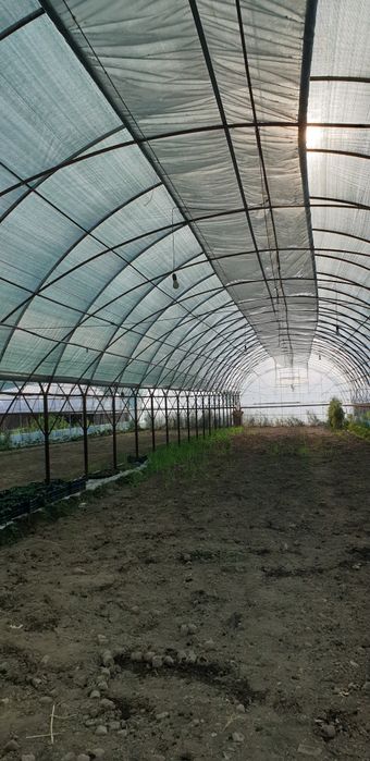 Продаются дачный участок с парником и удобной фермой