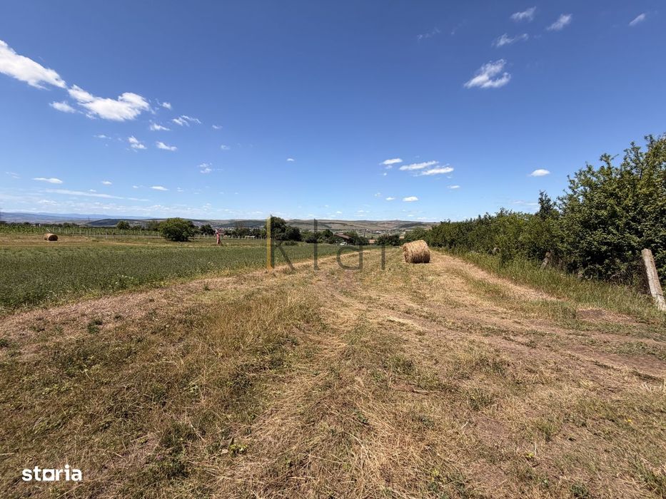 Teren 2.900 mp - 900 mp intravilan Jucu de Sus Panorama Investitie
