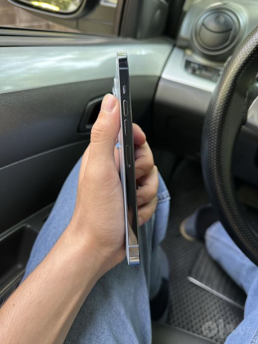 iPhone 13 Pro Max ideal