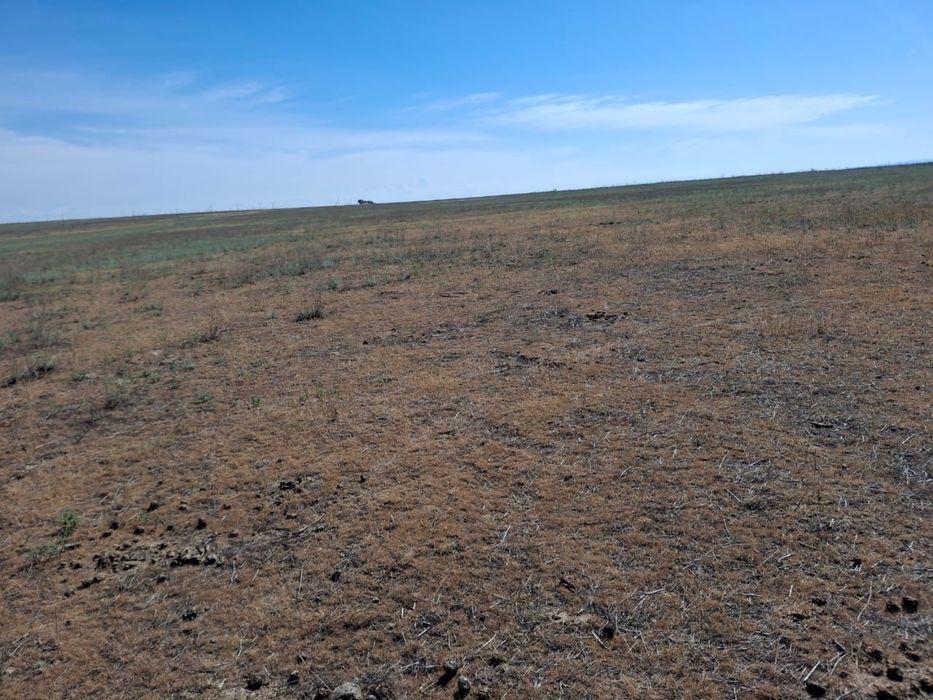 Продам крестьянское хозяйство