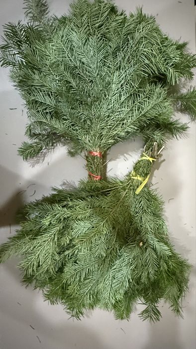 Пихтовые Веники для Бани