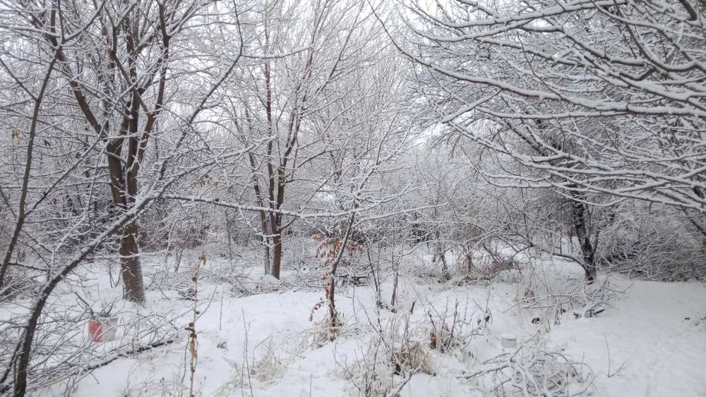 Сабалақ. өте әдемі қунарлы жер.