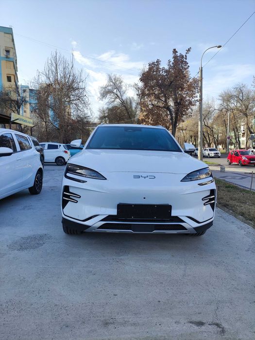 BYD Chempion 2025 model