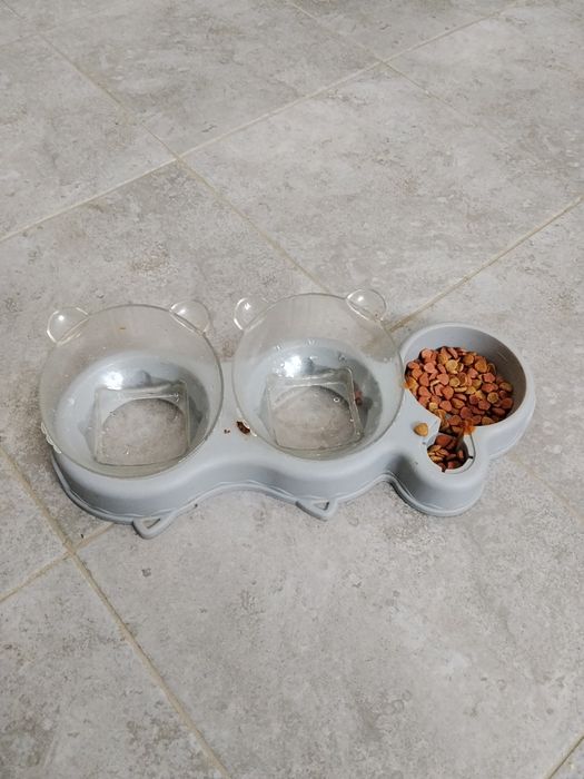 Продам британского кота