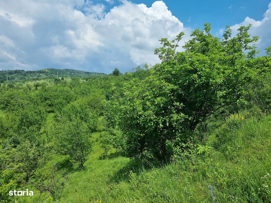 Teren intravilan cu livada 9000mp - zona Valenii de Munte