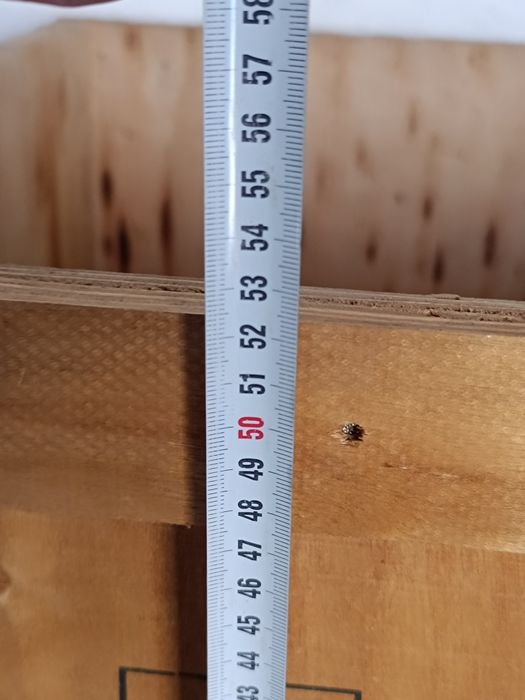 Продаю ящики деревянные