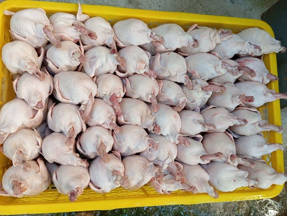 Бедана   сотилади