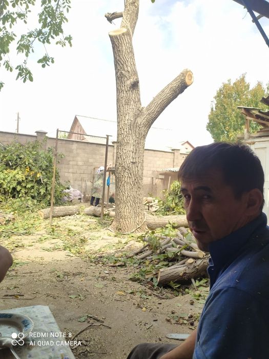 Богбон. Хизмати.