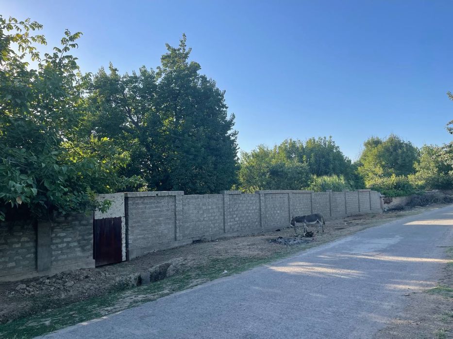 dacha ijaraga arenda
